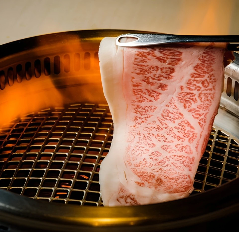 頂級和牛的大理石油花展現極致品質